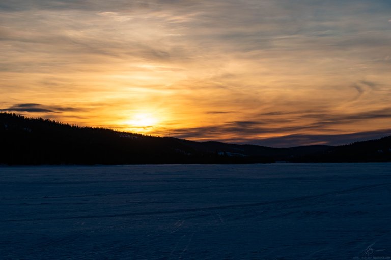 DSC_0074.jpg