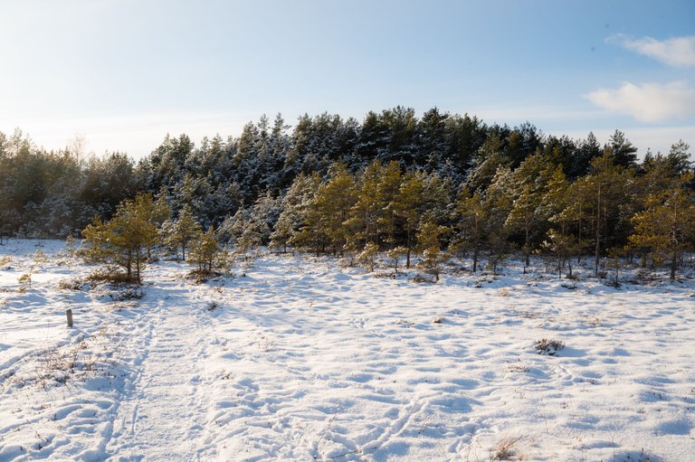 FRS_7093.jpg