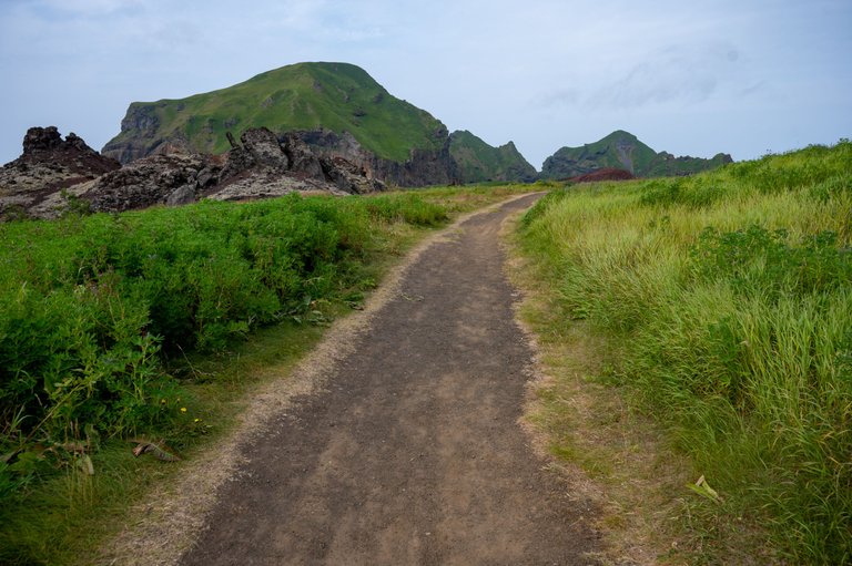 FRS_3874.jpg