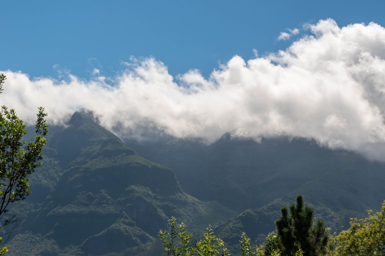 DSC_0456.jpg