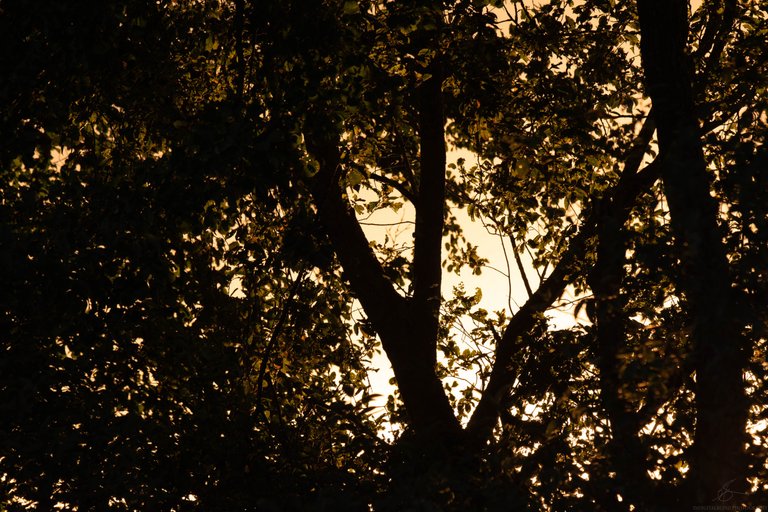 DSC_0024.jpg