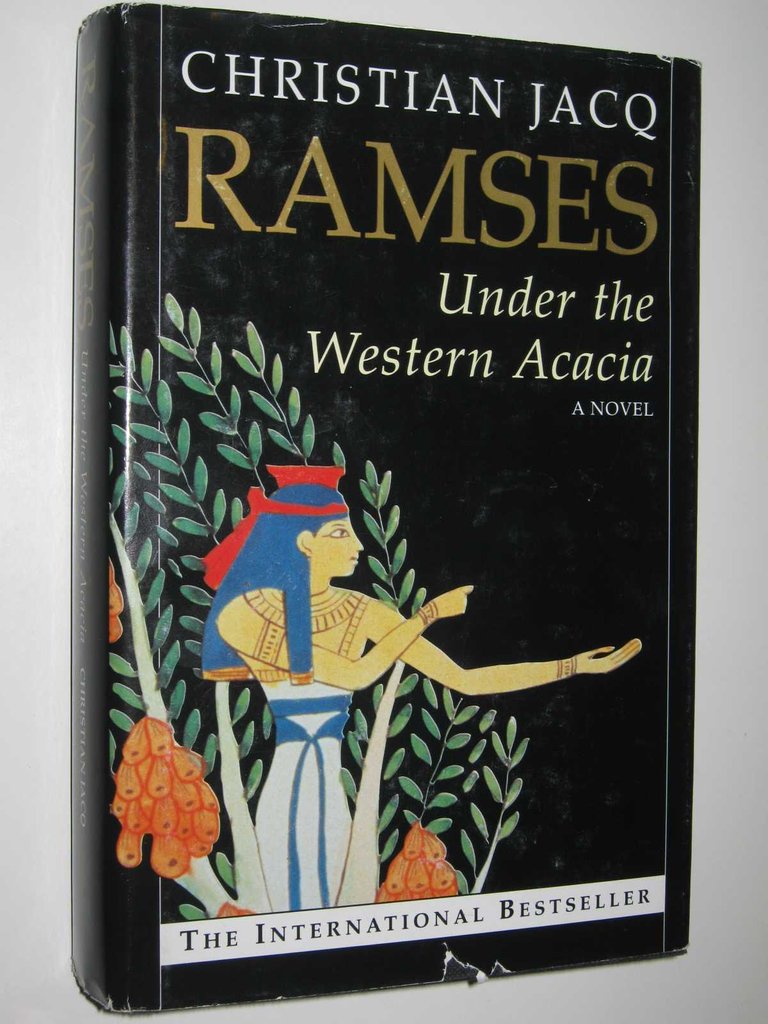 243.-Reseña-libros-Ramses-V-El-Ultimo-Enemigo-copertina.jpg