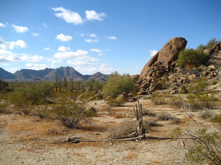 123.-Reseñas-libros-El-Don-del-Aguila-Desierto-Sonora.jpg