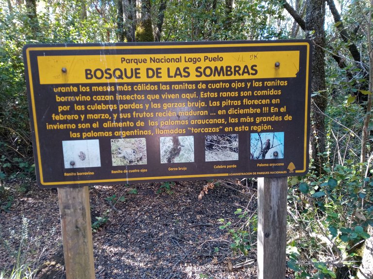 Lago-Puelo-cartello-sendero-Bosque-de-las-Sombras-2.jpg