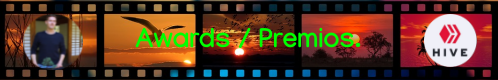 banner-film-awards-premios.1668918_960_720.png