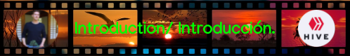 banner-film-introduction.introduccion.1668918_960_720.png