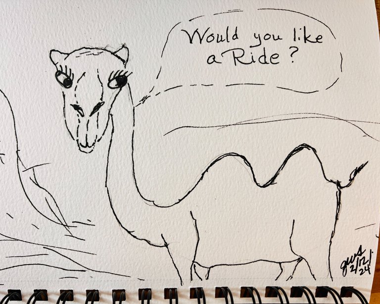 Camel Sketch.jpg