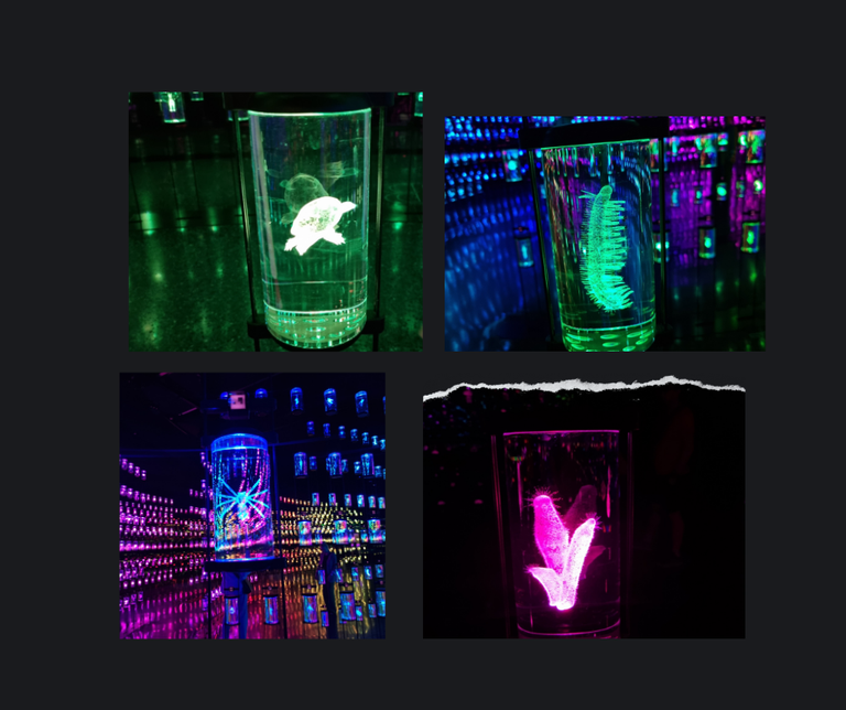 dna3.png