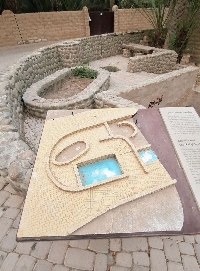 373.jpg