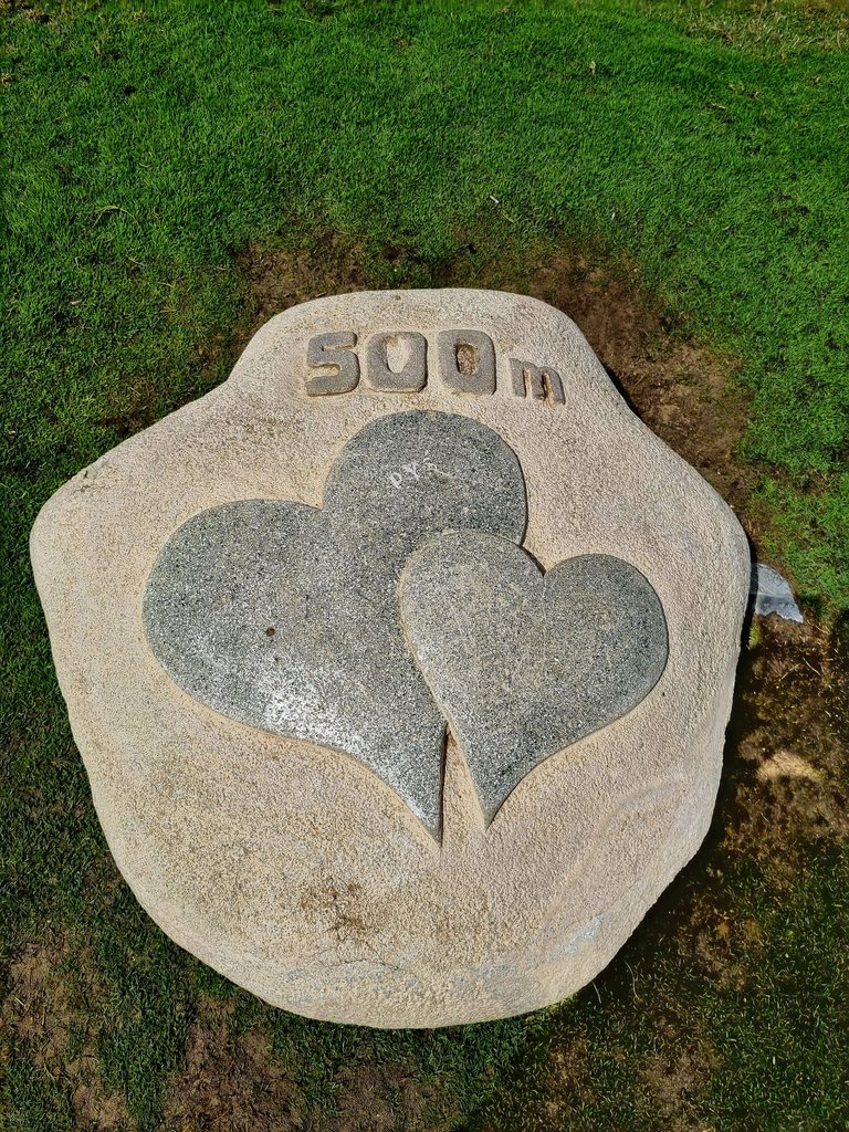20250301_170902.jpg