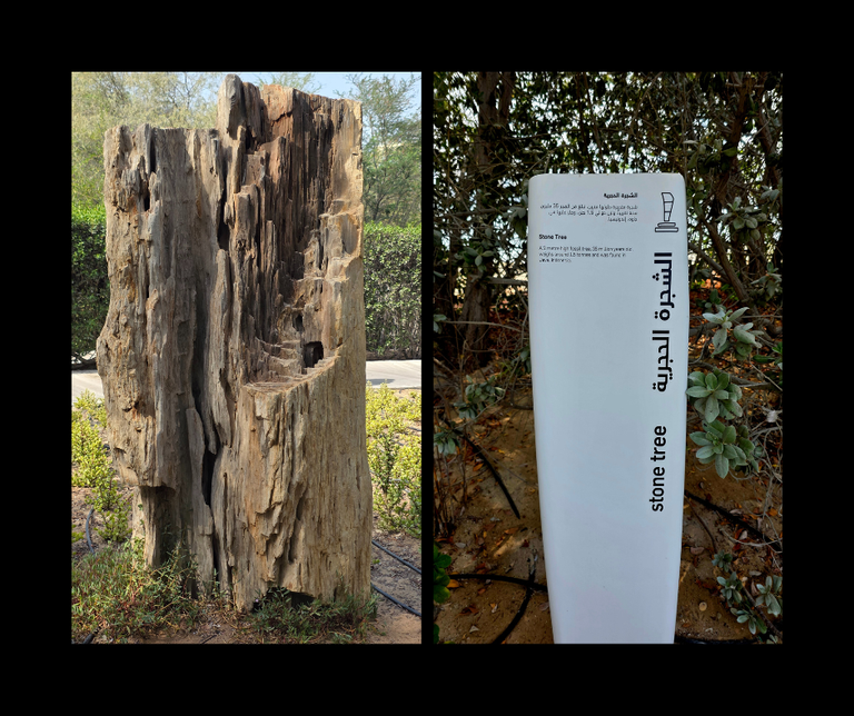 stone tree.png