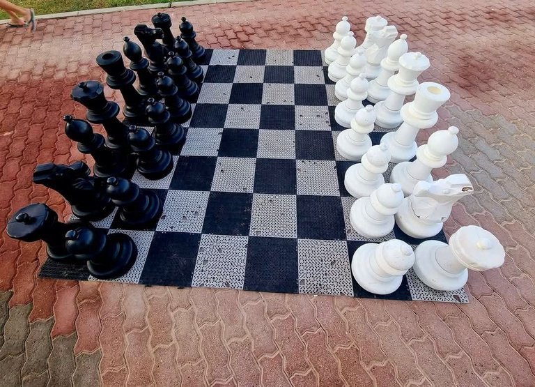 669.jpg