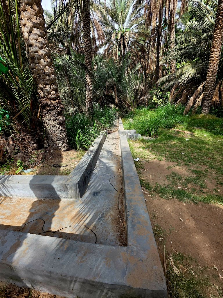 303.jpg