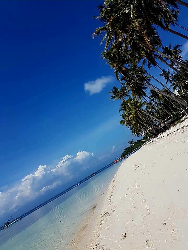 645.jpg