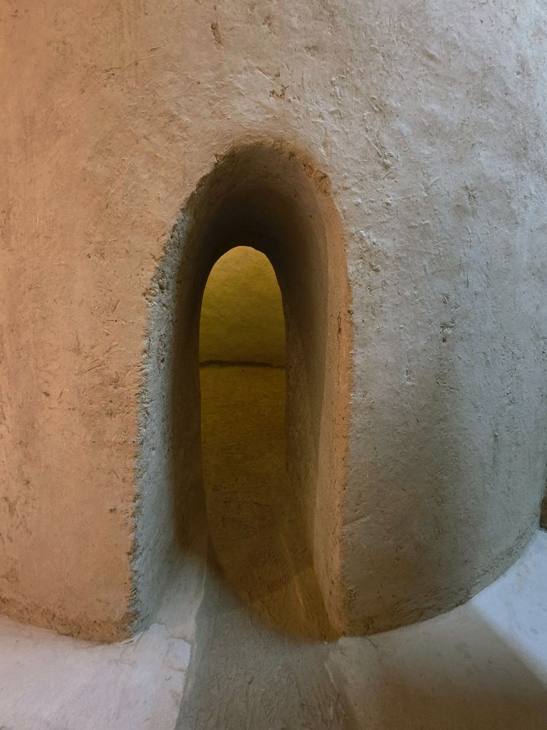 20250627_101843.jpg