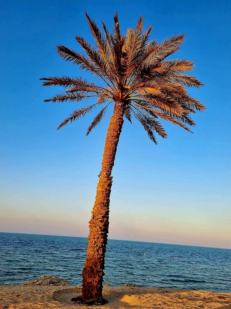 672.jpg