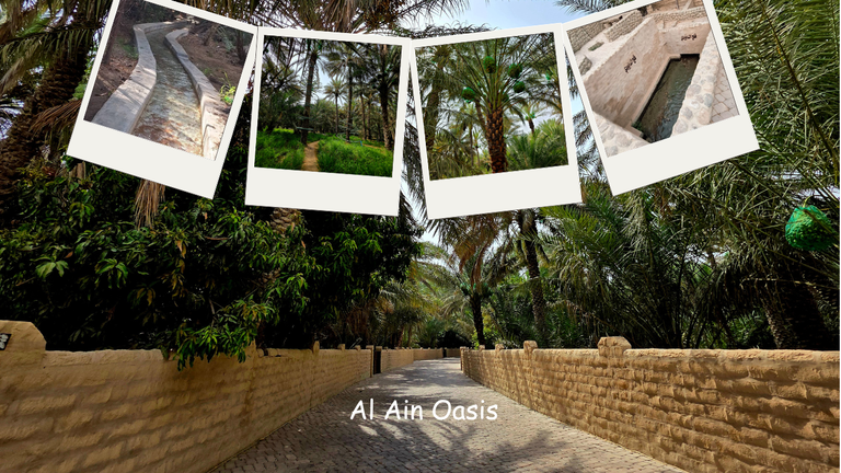 Al Ain Oasis: Stroll Through the Green Heart of the Desert