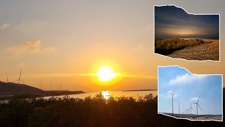 Sleep Under the Stars, Wake to the Sound of Waves: Dalma Island’s Perfect Beach Camping Retreat