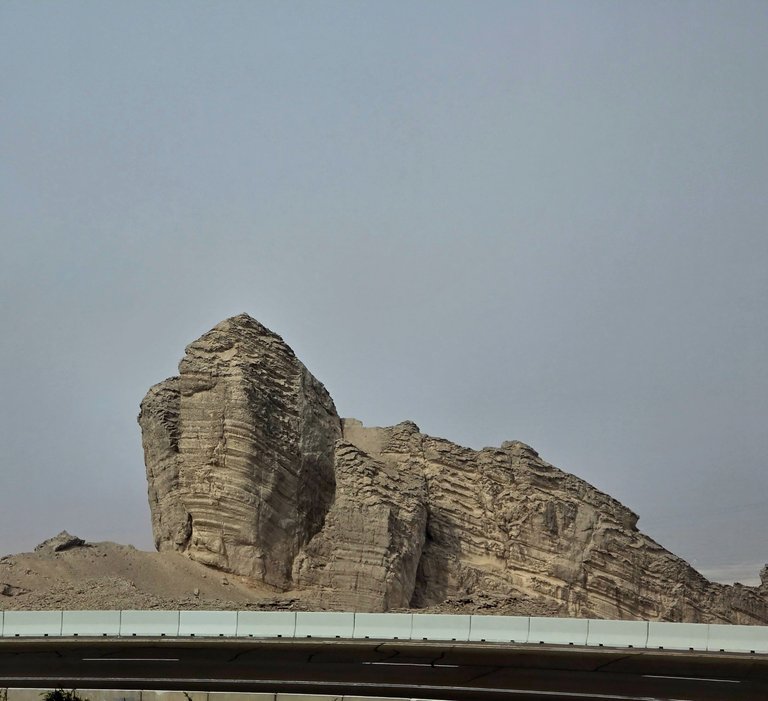 197.jpg