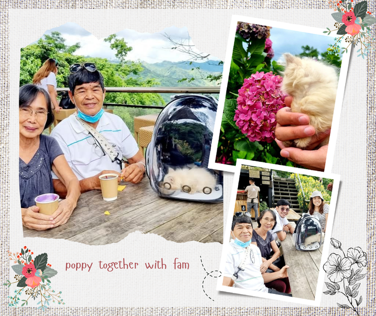 poppy together with fam.png