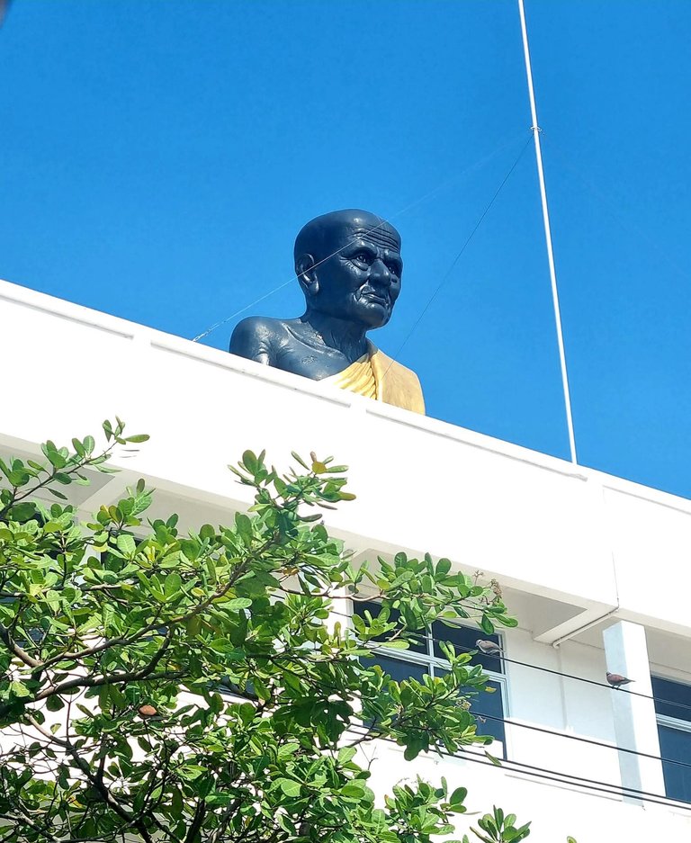 278.jpg