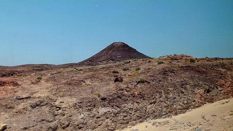 750.jpg