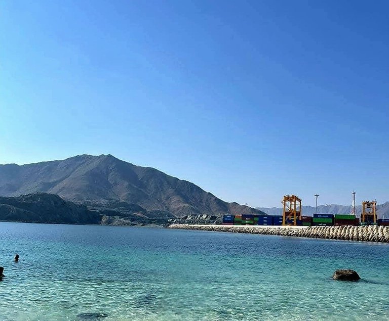 879.jpg