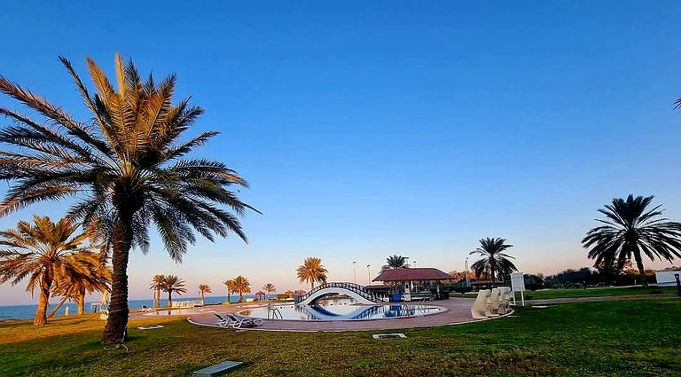 671.jpg