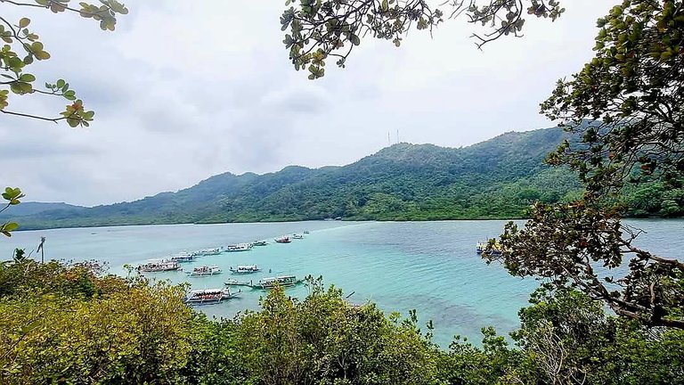 516.jpg