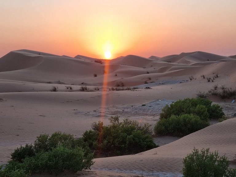 When the Sun Paints the Sky