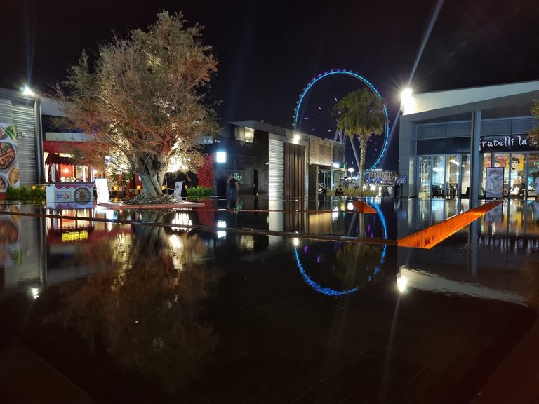 Lifescape Tribe's Night Photography Contest Round 13: Still Waters, Giant Views: Ain Dubai’s Mirrored Moment