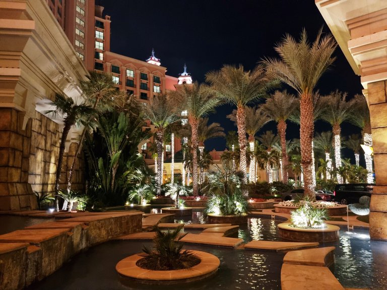 Just Outside Atlantis: Palm Trees, Ponds and Perfect Vibes| Night Photography #17