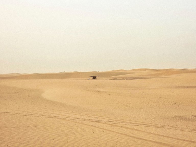 20250816_182723.jpg