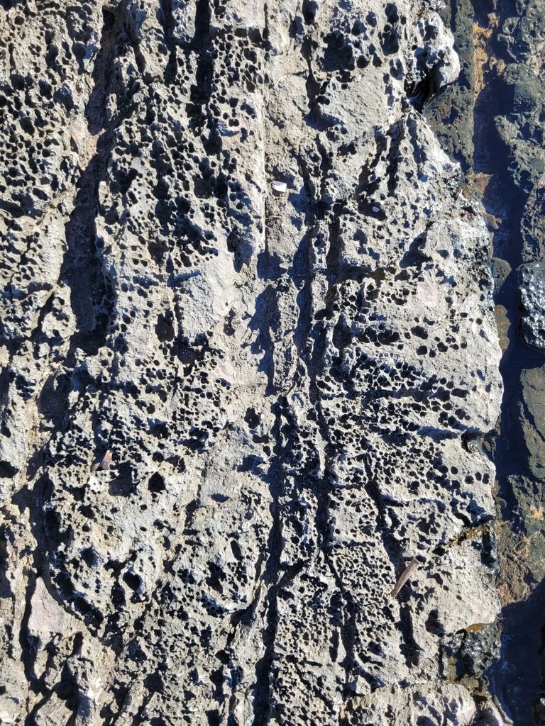 2023-10-30_09-29.50_S20.jpg