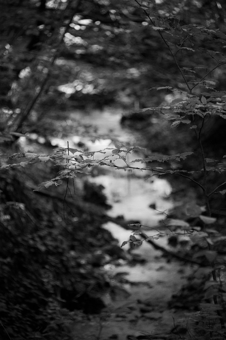 _DSC9652.JPG