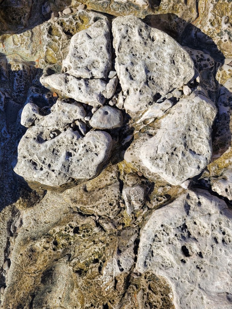 2023-10-30_10-01.27_S20.jpg