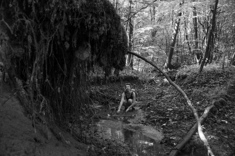 _DSC9639.JPG