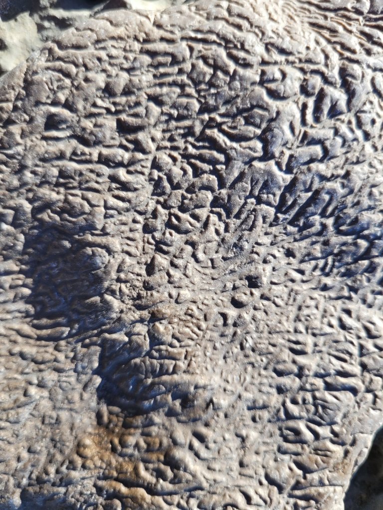 2023-10-30_10-03.42_S20.jpg