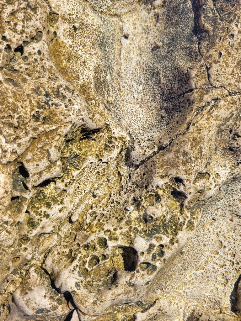2023-10-30_10-01.36_S20.jpg