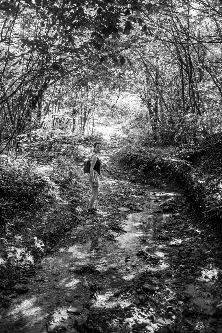 _DSC9685.JPG