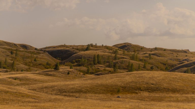 2023-10-09_15-00__dsc1877.JPG