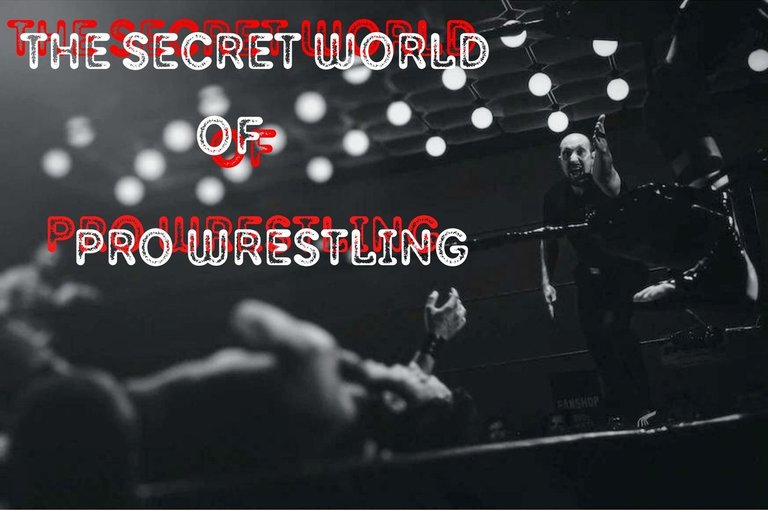 wrestling cover.jpg