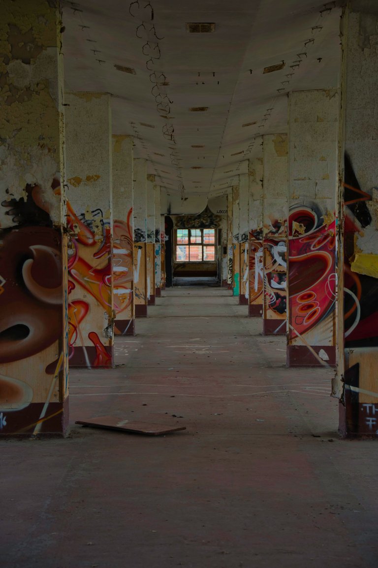 _DSC2350.jpeg
