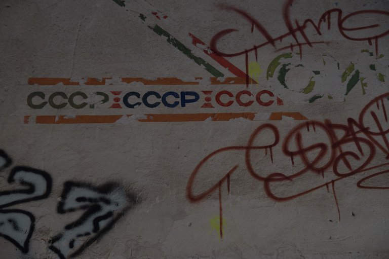 _DSC2334.jpeg