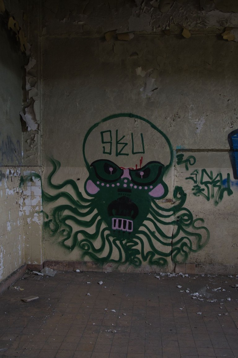 _DSC2288.jpeg