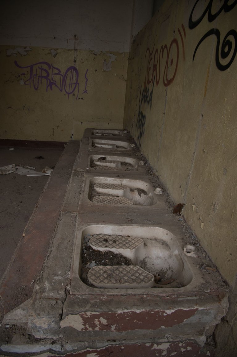 _DSC2327.jpeg