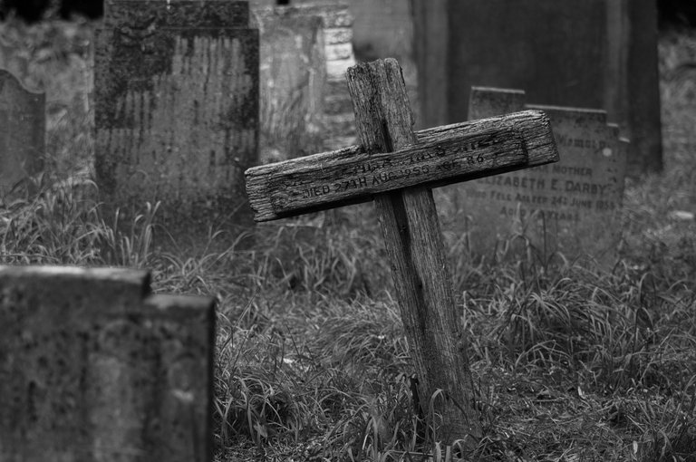 _DSC4392.jpeg