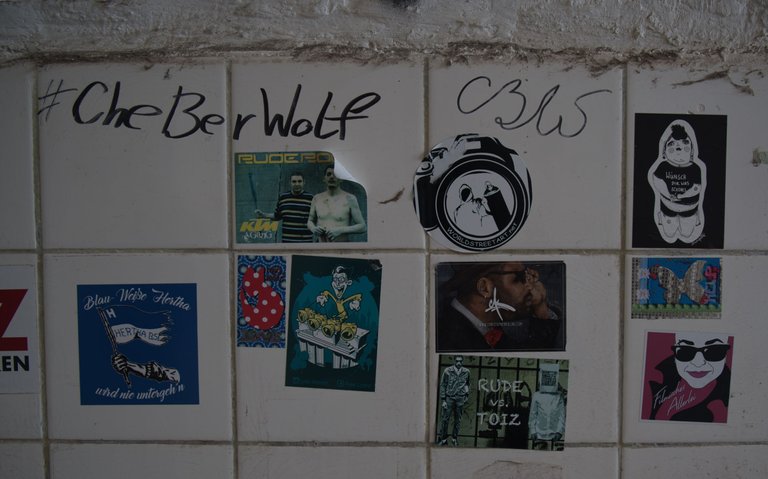 _DSC2271.jpeg