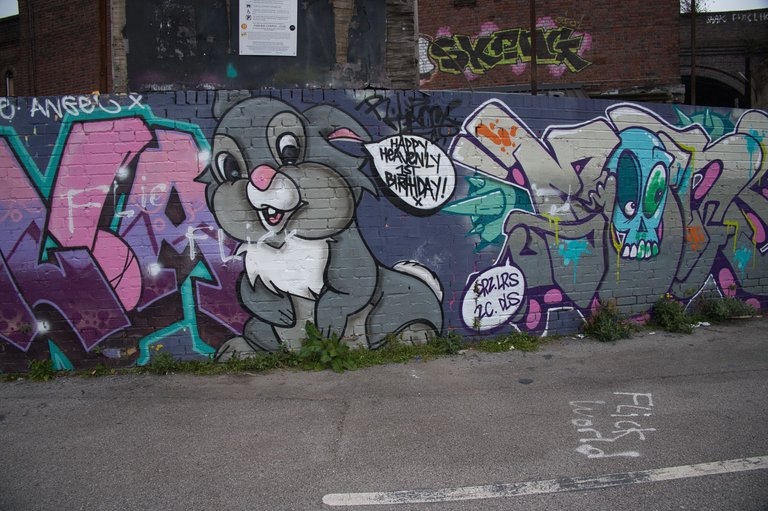 _DSC0298.jpeg