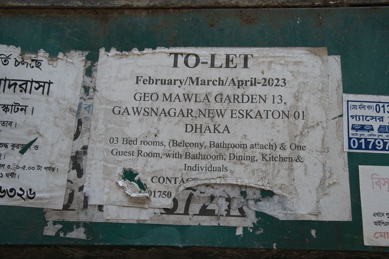 _DSC7757.jpeg